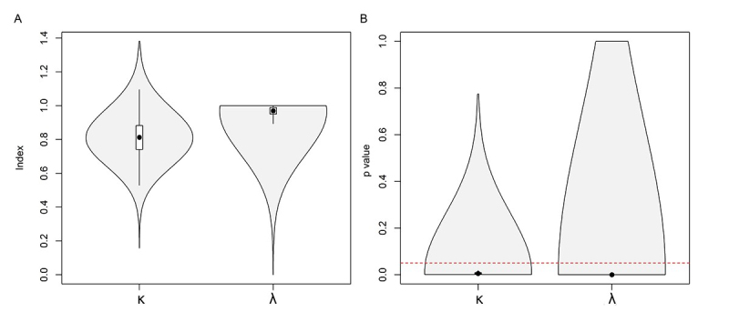 Investigating the evolutionary dynamics of diploid number variation in Ctenomys (Ctenomyidae, Rodentia).