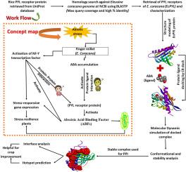 Molecular docking insights into nuclear factor Y (NF-Y) transcription factor and pyrabactin resistance 1 (PYL) receptor proteins reveal abiotic stress regulation in finger millet