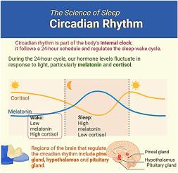 Chronomodulated drug delivery systems for the treatment of hypertension: An overview