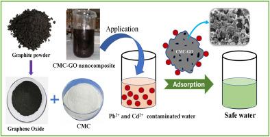 Synthesis and application of carboxymethyl cellulose-graphene oxide composite for the mitigation of Pb2+ and Cd2+ from aqueous solution