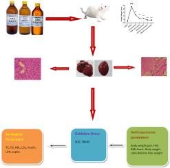 Metaphorical investigation of aqueous distillate of Cichorium intybus, Foeniculum vulgare and Solanum nigrum along with atorvastatin and orlistat in experimental rodent models of dyslipidaemia and obesity