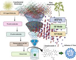 Unravelling the influenza virus inhibitory potential: Ligand-based docking, pharmacophore, MM-GBSA, and molecular dynamic simulation of phytochemicals and cyanobacteria metabolites