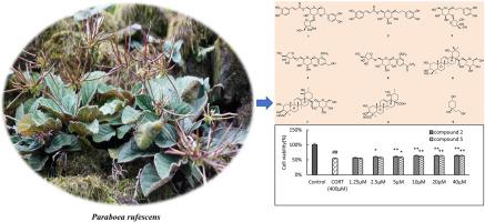 One new phenylpropanoid glycoside from Paraboea rufescens and their chemotaxonomic significance