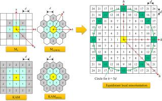 Correction of step size dependency in local misorientation obtained by EBSD measurements: Introducing equidistant local misorientation