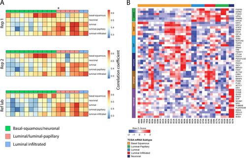 Verification of molecular subtyping of bladder cancer in the GUSTO clinical trial