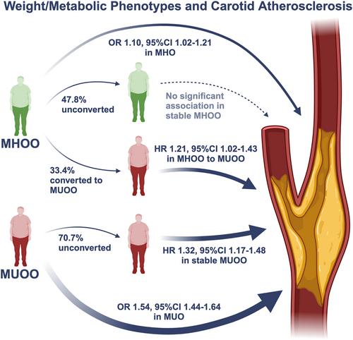 The transiency of metabolically healthy obesity: Metabolic decline and atherosclerotic risk