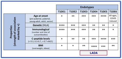 Type 1 diabetes: A new vision of the disease based on endotypes