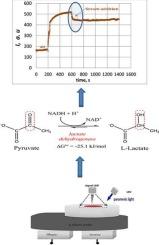 Photovoltaic recombination sensor as system for real-time determination of lactate dehydrogenase activity