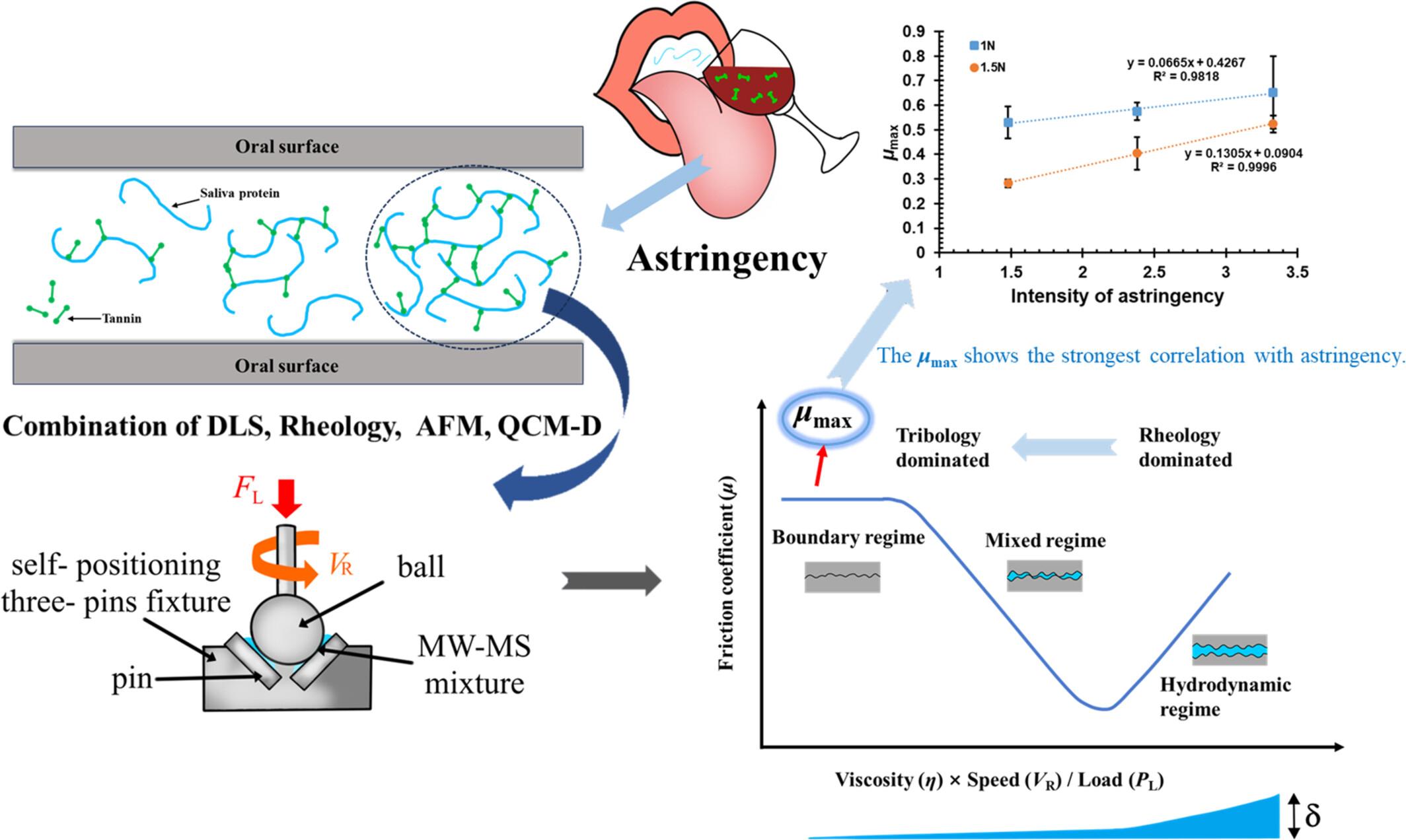 New insight in characterization of red wine astringency using soft tribology method