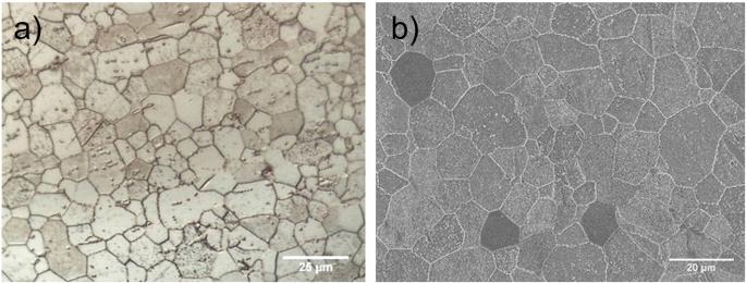 Effects of open circuit immersion and vertex potential on potentiodynamic polarization scans of metallic biomaterials