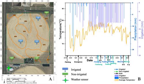 On-field Agroecosystem Research Experience: An Undergraduate Perspective