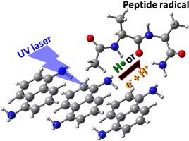 Is the first step in MALDI in-source decay electron transfer or hydrogen atom abstraction?