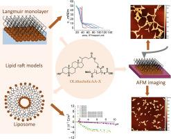 Lithocholic acid-based oligomers as drug delivery candidates targeting model of lipid raft