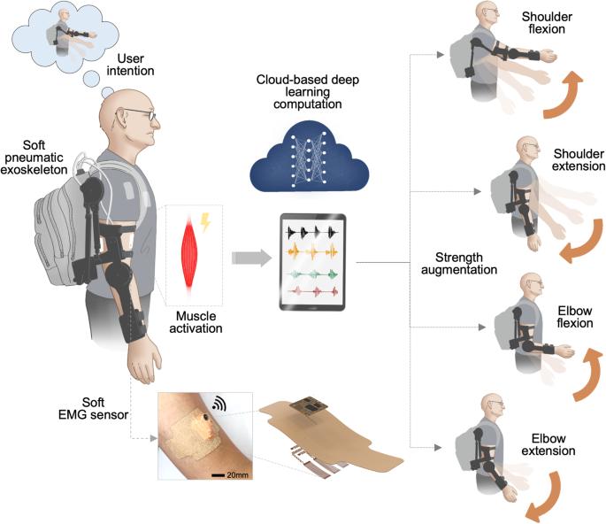 Intelligent upper-limb exoskeleton integrated with soft bioelectronics and deep learning for intention-driven augmentation