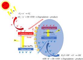 Construction highly efficient p–n heterojunctions composite of BiBaO3 and Ag3PO4 for visible light driven photocatalytic degradation of tetracycline and oxytetracycline