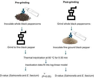 Effect of inoculation (pre- vs. post-grinding) of black pepper on decimal reduction time of Salmonella spp. and Enterococcus faecium NRRL B-2354