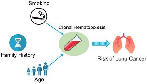 INTEGRAL-ILCCO cohort data analysis revealed the association of clonal haematopoiesis with an increased risk of lung cancer