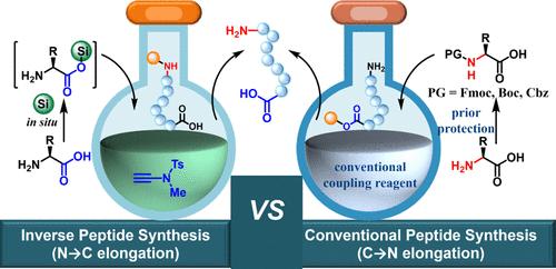 Inverse Peptide Synthesis Using Transient Protected Amino Acids