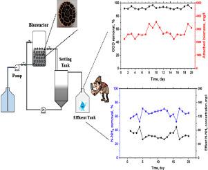 Development and modeling of an integrated fixed-film activated sludge (IFAS) system for simultaneous nitrogen and carbon removal from an industrial estate wastewater