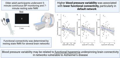 Short-term blood pressure variability and brain functional network connectivity in older adults