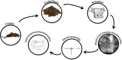 Insect-powered electrochemical capacitors: The potential of cricket biomass