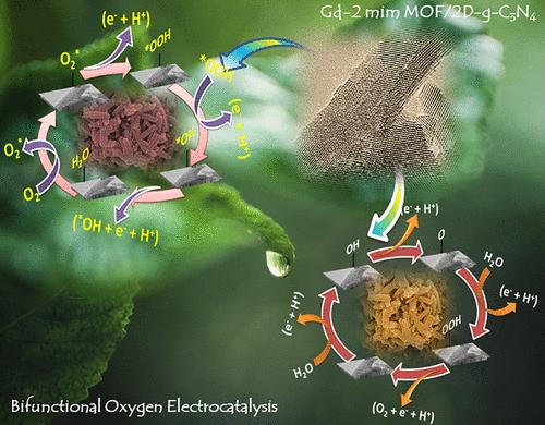 Interfacial Coupling of Gadolinium-2-methylimidazole Metal Organic Framework and 2D-g-C3N4 Nanosheet for Synergistically Enhanced Bifunctional Oxygen Electrocatalysis