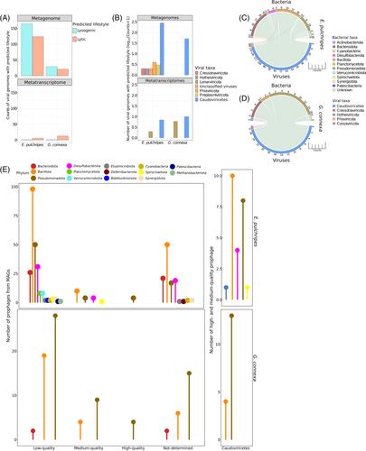 Viral communities in millipede guts: Insights into the diversity and potential role in modulating the microbiome