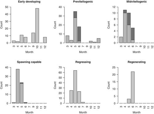 Female age at maturity and fecundity in Atlantic Striped Bass