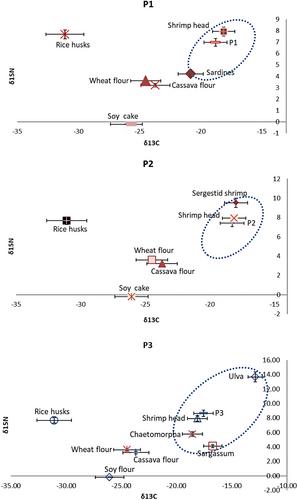 Stable isotope profiling of farmed Penaeus monodon for the evaluation of feed efficiency