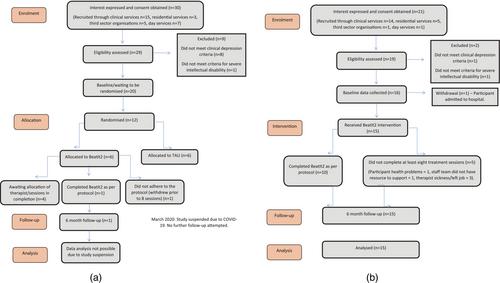 Behavioural activation for depressive symptoms in adults with severe to profound intellectual disabilities: Modelling and initial feasibility study