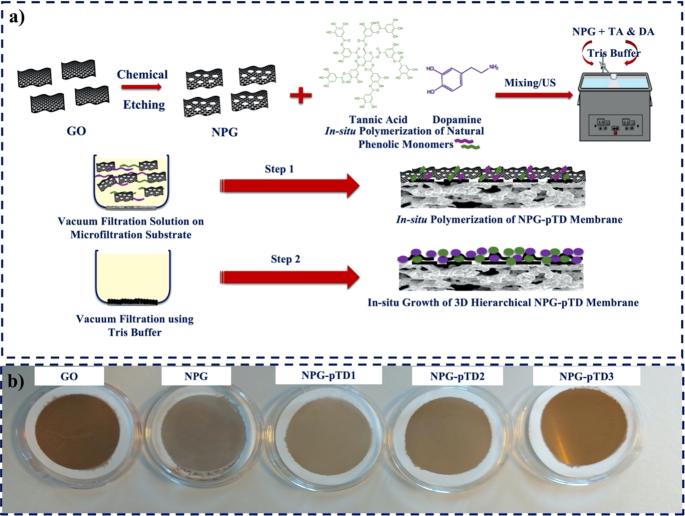 3D hierarchical aquaporin-like nanoporous graphene membrane with engineered tripartite nanochannels for efficient oil/water separation