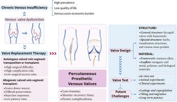 Prosthetic venous valves for chronic venous insufficiency: Advancements and future design directions