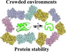 Studying protein stability in crowded environments by NMR