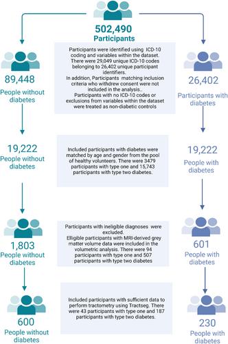 Brain alterations in regions associated with end-organ diabetic microvascular disease in diabetes mellitus: A UK Biobank study