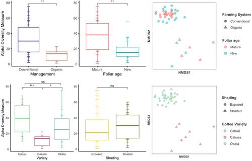 Agricultural practices influence foliar endophytic communities in coffee plants of different varieties