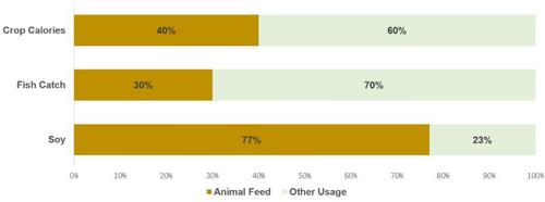 A cultural reflection on animal welfare and its implication for modern Chinese society