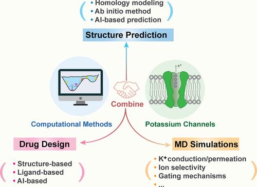 Computational methods for unlocking the secrets of potassium channels: Structure, mechanism, and drug design