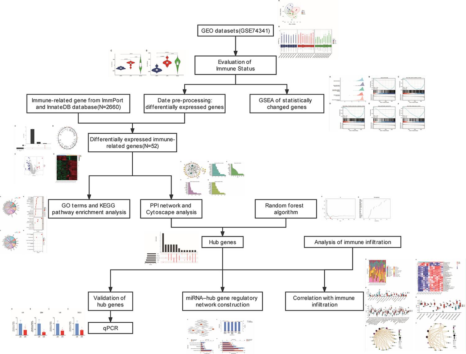 Comparison of immune-related gene signatures and immune infiltration features in early- and late-onset preeclampsia