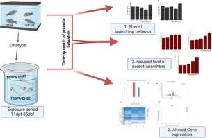 RNA-Seq analysis offers insight into the TBBPA-DHEE-induced endocrine-disrupting effect and neurotoxicity in juvenile zebrafish (Danio rerio)