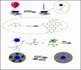 The graphene quantum dots encased in the molecularly imprinted polymer as a new fluorescent nanosensor for the detection of biotin