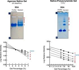 Different behavior of Ferguson plot between agarose and polyacrylamide gels