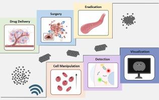 AcousticRobots: Smart acoustically powered micro-/nanoswimmers for precise biomedical applications