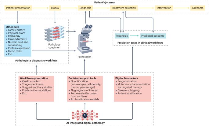 Artificial intelligence applications in histopathology