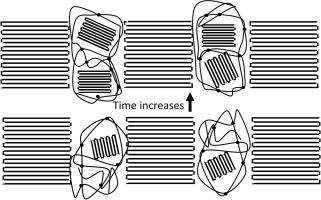 Very long-time crystallization kinetics for ethylene-methacrylic acid ionomers neutralized with zinc, sodium, lithium and magnesium