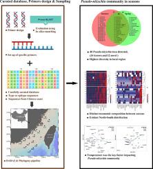 A Pseudo-nitzschia metabarcoding approach with a calibrated ITS1 reference sequence database applied in the Taiwan Strait