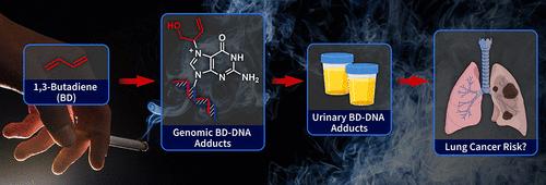 Association of Urinary N7-(1-hydroxyl-3-buten-1-yl) Guanine (EB-GII) Adducts and Butadiene-Mercapturic Acids with Lung Cancer Development in Cigarette Smokers