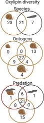 Species-specific oxylipins and the effects of ontogeny and predation on their emission from freshwater snails