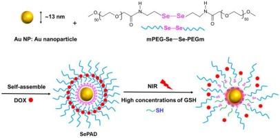 Dual-functional nano-carrier system based on NIR-laser-triggered dynamic AuSe interaction for chemo-photothermal synergistic tumor therapy