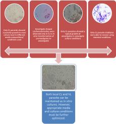 In vitro growth of Leishmania parasites from biopsy samples of suspected cutaneous and visceral leishmaniasis cases in Sri Lanka: An observational study