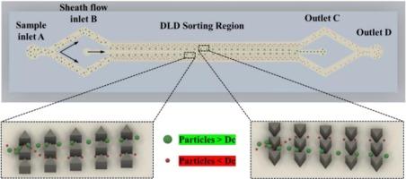 On-chip label-free sorting and enrichment of microplastic particles by using deterministic lateral displacement